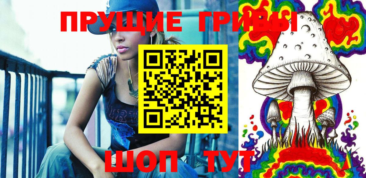 Галлюциногенные грибы Cubensis  Вход с VPN  Бутурлиновка  Псилоцибиновые грибы прущие грибы 
